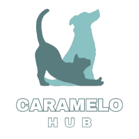 Logo Caramelo_HUB